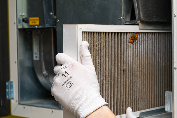 Best Air Vent Cleaning Services  in Fairbury, IL
