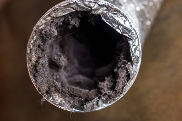 Best Professional Duct Cleaning Services  in Fairbury, IL