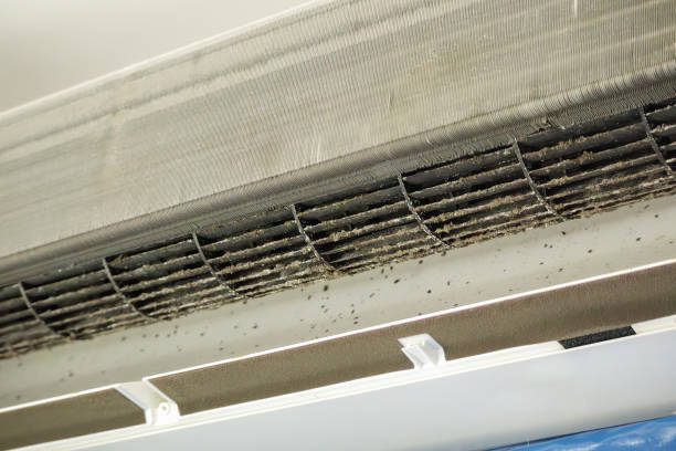 Best Affordable Air Duct Cleaning  in Fairbury, IL